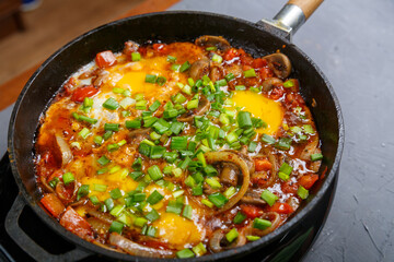 Shakshuka with herbs in a frying pan on a gray background.close-up.