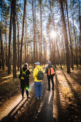 Obraz premium Three young students walking in the pine forest in beautiful sunlight