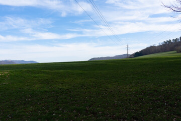Spring Reborn, Wiedergeborene Frühling, Europa, Switzerland, Mountain, Forest, Sunny day, Lonely...
