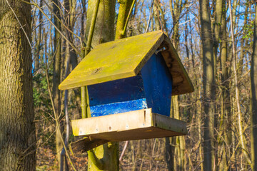 Vogelhaus zwischen Bäumen