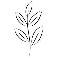 The silhouette of a twig with leaves. Icon in the style of sketch, linear art, minimalism