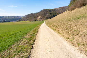 Fototapeta na wymiar Spring Reborn, Wiedergeborene Frühling, Europa, Switzerland, Mountain, Forest, Sunny day, Lonely Walk