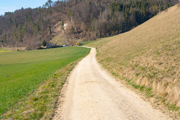 Spring Reborn, Wiedergeborene Frühling, Europa, Switzerland, Mountain, Forest, Sunny day, Lonely...