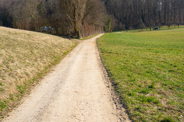 Spring Reborn, Wiedergeborene Frühling, Europa, Switzerland, Mountain, Forest, Sunny day, Lonely...
