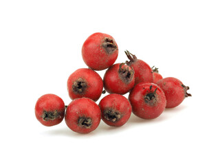 Hawthorn berries on a white background