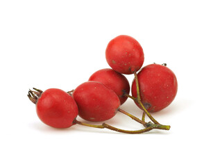 Hawthorn berries on a white background