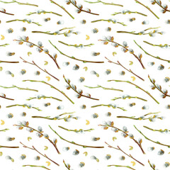 Pussy willow branches. Seamless pattern. Spring Easter botanical hand drawn illustration with tree twigs isolated on a white background.