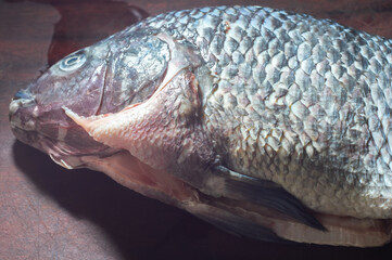 Tilapia fish on a wooden table with drawn scales