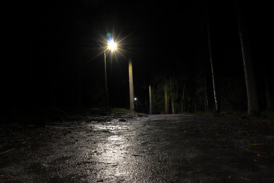 Dark night photo. One light post at a icy forest road. Stockholm, Sweden, Europe.