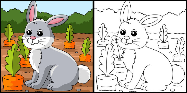 Rabbit Coloring Page Colored Illustration