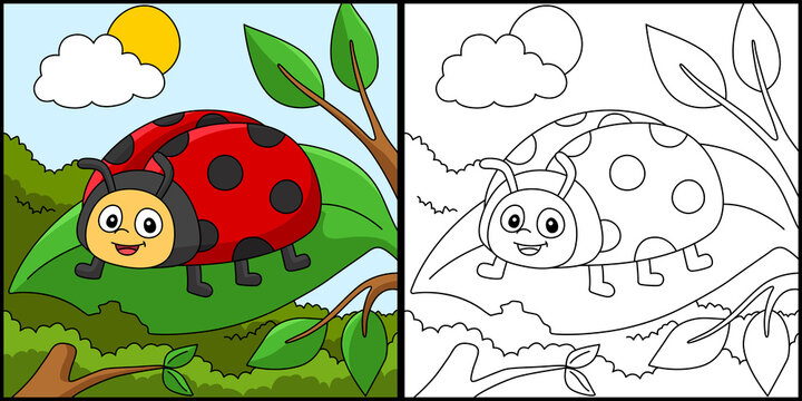 Ladybug Coloring Page Colored Illustration