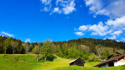 Frühling im Wald und Land. Panoramalandschaft, Hütte auf einer Sonne geküsst hellgrüne Wiese,...