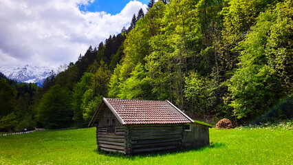 Frühling in den Bergen. Hütte auf einem hellgrünen Gras Teppich, immergrüner Wald und blauer...