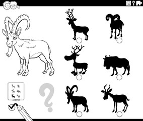 shadows task with cartoon ibex animal coloring book page