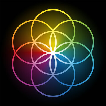 Rainbow colored Seed of Life, over black. Geometrical figure, composed of 7 same sized overlapping circles, forming a hexagonal symmetrical structure, and the prestage of Flower of Life. Illustration.