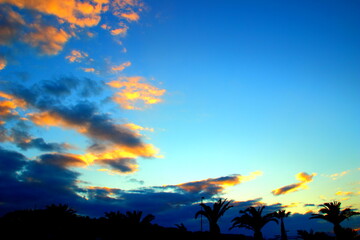 Fototapeta na wymiar Blue sky with light yellow clouds over a palm alley during a winter sunset in Grottammare