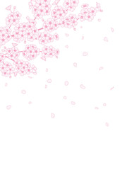 Obraz na płótnie Canvas 桜の花のフラットイラスト