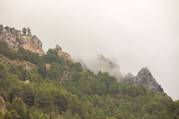Mountain trails in the mist during winter time