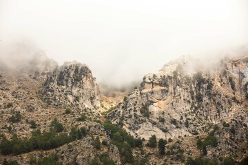 Mountain trails in the mist during winter time