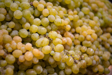 Pile of white, blue and red wine grapes at street market, freshly harvested. Natural background.