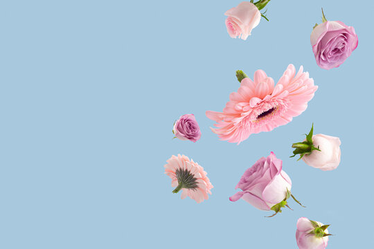 Creative Abstract Composition With Various Spring Flowers On Pastel Blue Background. Minimal Fly Or Levitate Natural Concept With Place For Text.