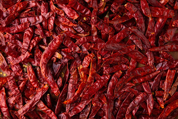 Chile de Arbol Background. This potent Mexican chili can be used fresh, powdered or dried for salsa...