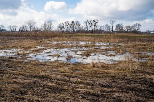 bagna, mokradła, rozlewiska wiosną, rozlewiska na polach, zalane pola i wylane rowy, swamps, wetlands, backwaters in spring, backwaters in fields, flooded fields and poured ditches,