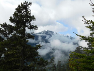 Obraz na płótnie Canvas A mountain peak shows itself through the mostly cloudy sky in Olympic National Park, Washington