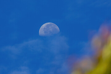 Waxing moon phase. Nature stunning.
