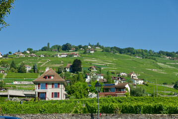 Fototapeta na wymiar Lavaux Vineyards along the lake Geneva shoreline from Vevey to Lausanne