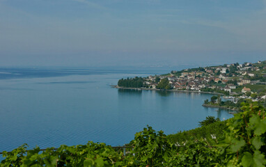 Lavaux Vineyards along the lake Geneva shoreline from Vevey to Lausanne