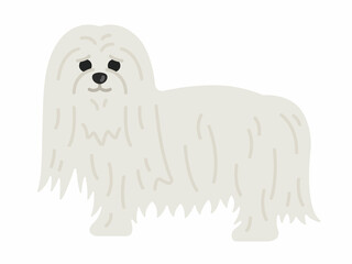 マルチーズ犬のイラスト