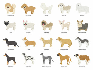 Fototapeta premium たくさんの種類の犬のイラストセット