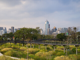 panorama of the city