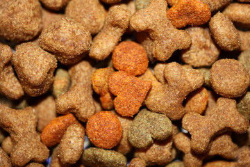 Dog dry healthy food from purina close up background high quality big size prints