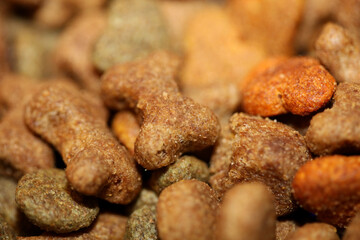 Dog dry healthy food from purina close up background high quality big size prints