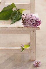 Lilac flowers on wooden table