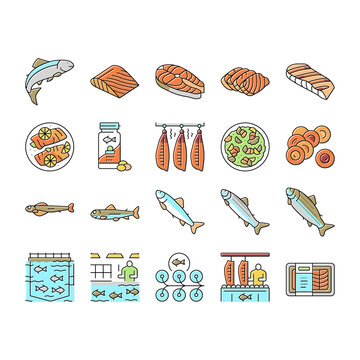 Salmon Fish Delicious Seafood Icons Set Vector .