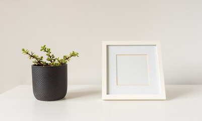 Close up of blank square picture frame on shelf with succulent in black pot (selective focus)