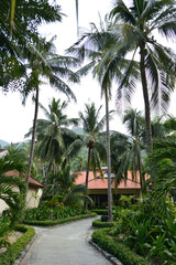 Fototapeta na wymiar Bungalow in the tropical garden