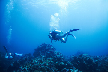 Exploring the oceans endless wonders. Two scuba divers explore a rocky reef - Copyspace.