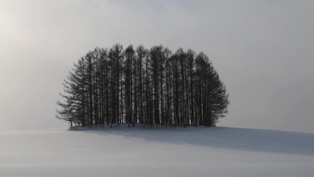 Footage of Mild Seven hill in the snow, Biei, Hokkaido, Japan