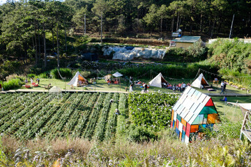 camping site in the forest