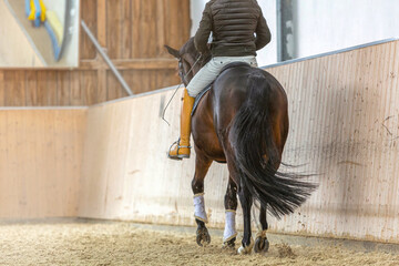 A rider in training with a dressage horse in a riding hall
