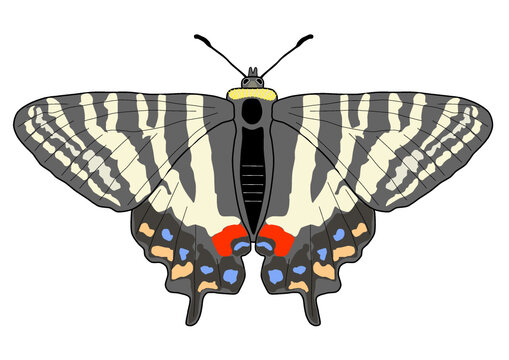 春の女神 の画像 218 件の Stock 写真 ベクターおよびビデオ Adobe Stock