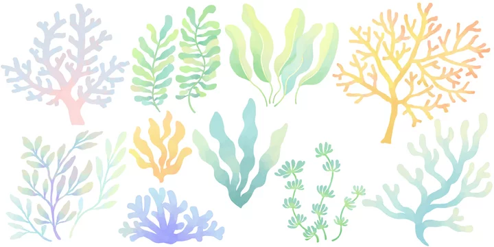 サンゴ 海藻 わかめ メルヘンカラー セットイラスト Stock Illustration Adobe Stock