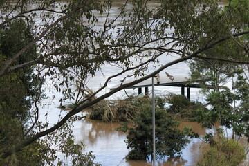 Partially submerged Buildingins in Receding Flooded Brisbane River at Colleges Crossing Recreation Park near Ipswich, Queensland Australia 1st March 2022. Worst Flooding in Decades, State of Emergency