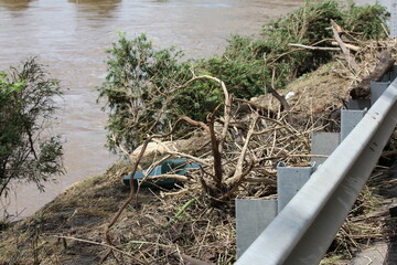 Receding Floodwater at Brisbane River at Colleges Crossing Recreation Park near Ipswich, Queensland...