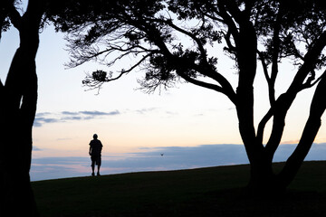 Silhouette of a man walking among the big Pohutukawa trees at dawn.