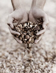Letting the stones fall. Closeup of two hands holding gravel.